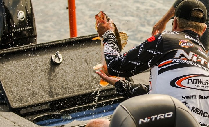 Angling Sponsorships